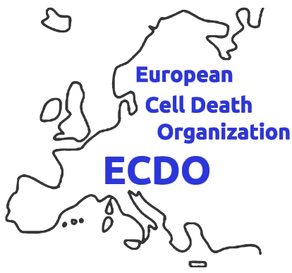 ECDO Logo