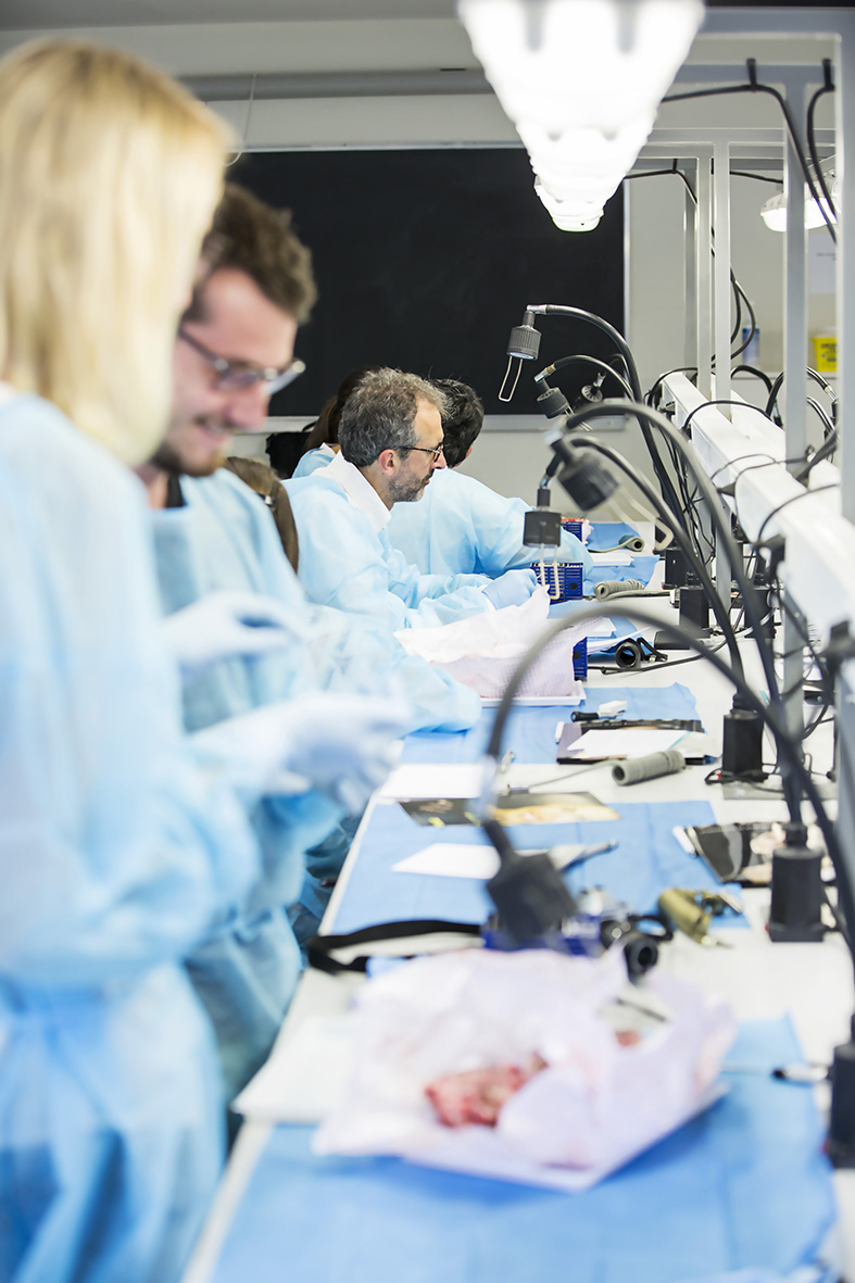 Ateliers Minivis et corticotomie