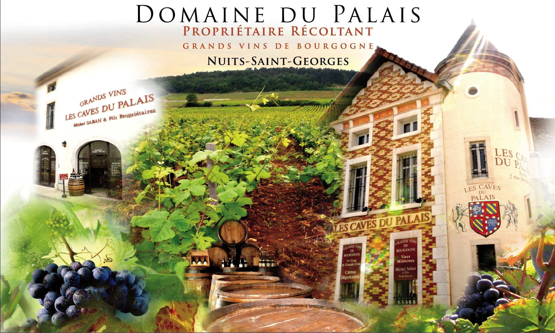 Domaine du Palais